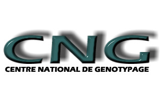 CNG