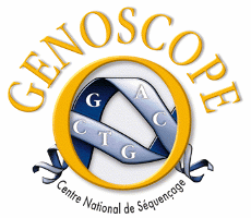 CNS -  Génoscope